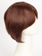 Success Story | 100% Human Hair Wig (Mono Top) - Image 29
