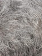 Kate Petite | Synthetic Wig (Basic Cap) - Image 27
