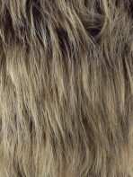 Short Tapered Crop | HF Synthetic Wig (Basic Cap) - Image 10