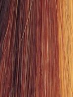 Shay | Synthetic Lace Front Wig (Mono Top) - Image 30