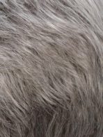 Cheri | Synthetic Wig (Basic Cap) - Image 13