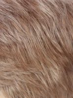 Charlee | Synthetic Wig (Basic Cap) - Image 20